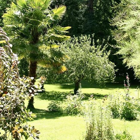 Villa D'Une Chambre Avec Piscine Privee Jardin Clos Et Wifi A Sarlat La Caneda Exterior photo